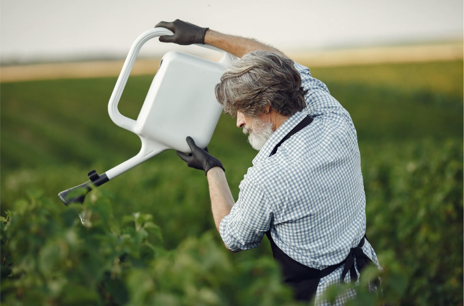 agro-roductos-5.jpg
